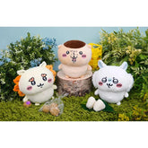 Chiikawa | Petitama Plush Toy (All Characters)
